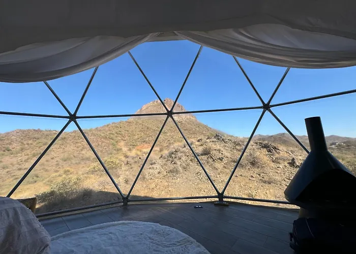 Stargazer- The Dome Life